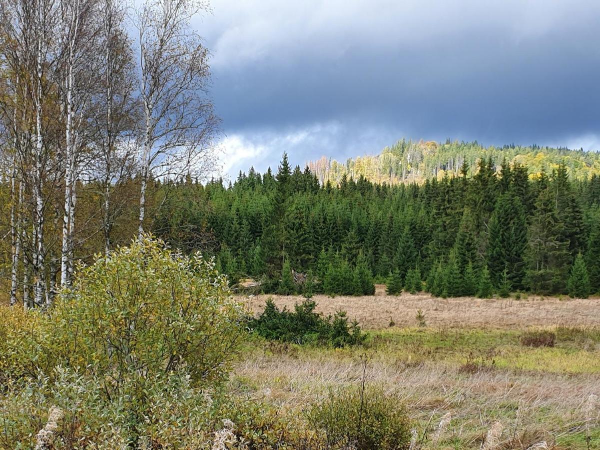 Apartman Stozec Bagian luar foto